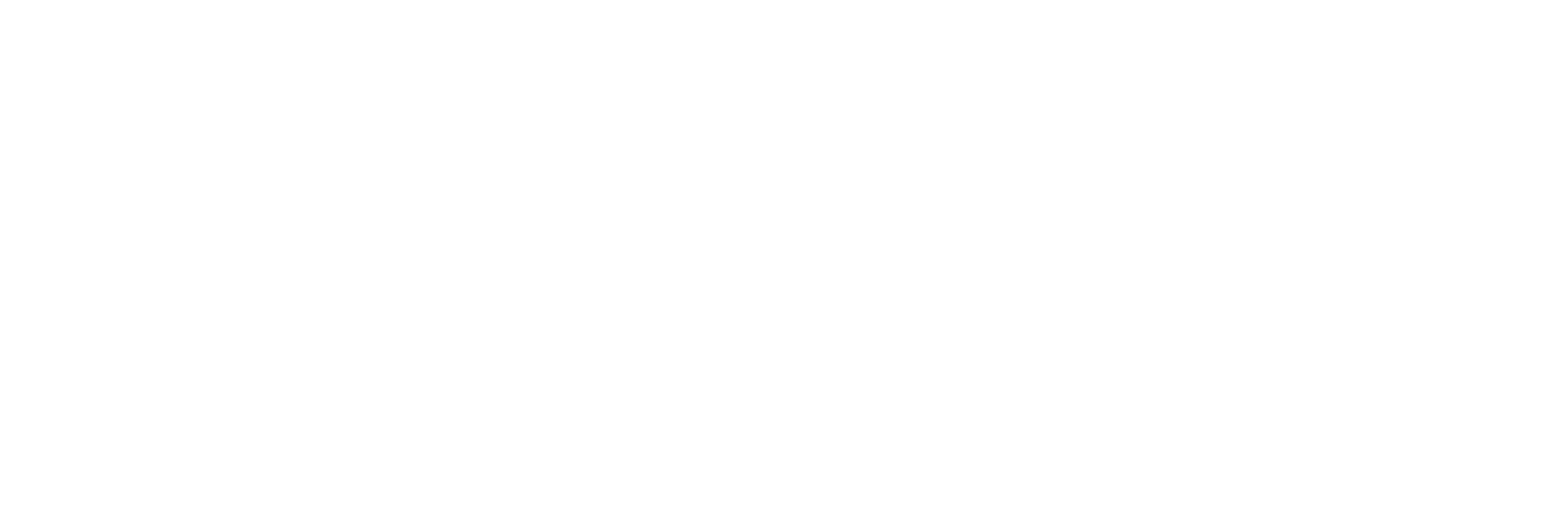 AzulNet